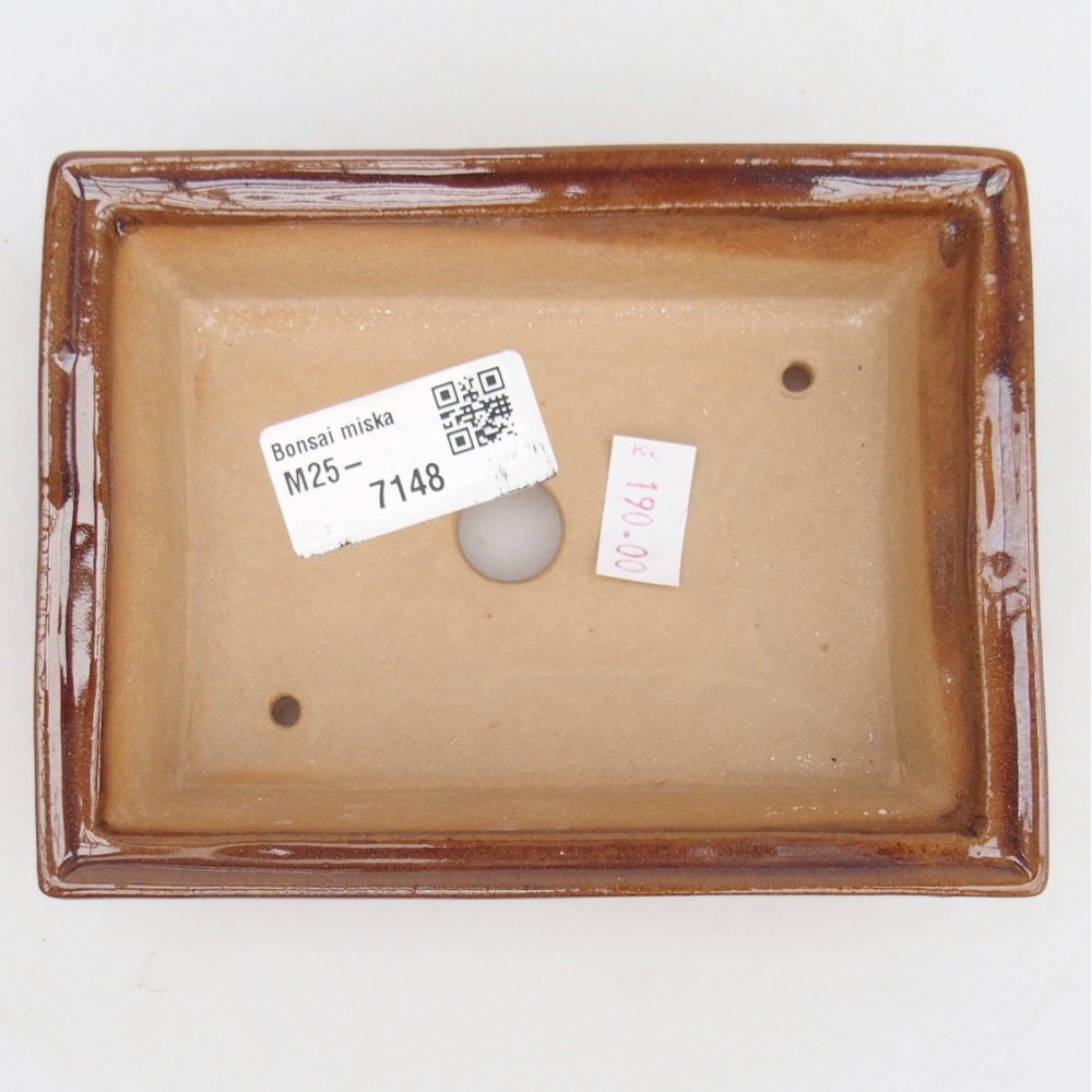 Cuenco bonsái de cerámica 13 x 10 x 4 cm, marrón