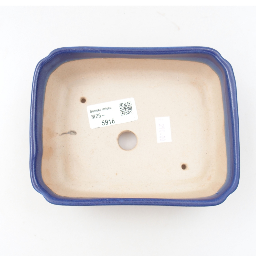 Cuenco bonsái de cerámica 22 x 17 x 5 cm, verde