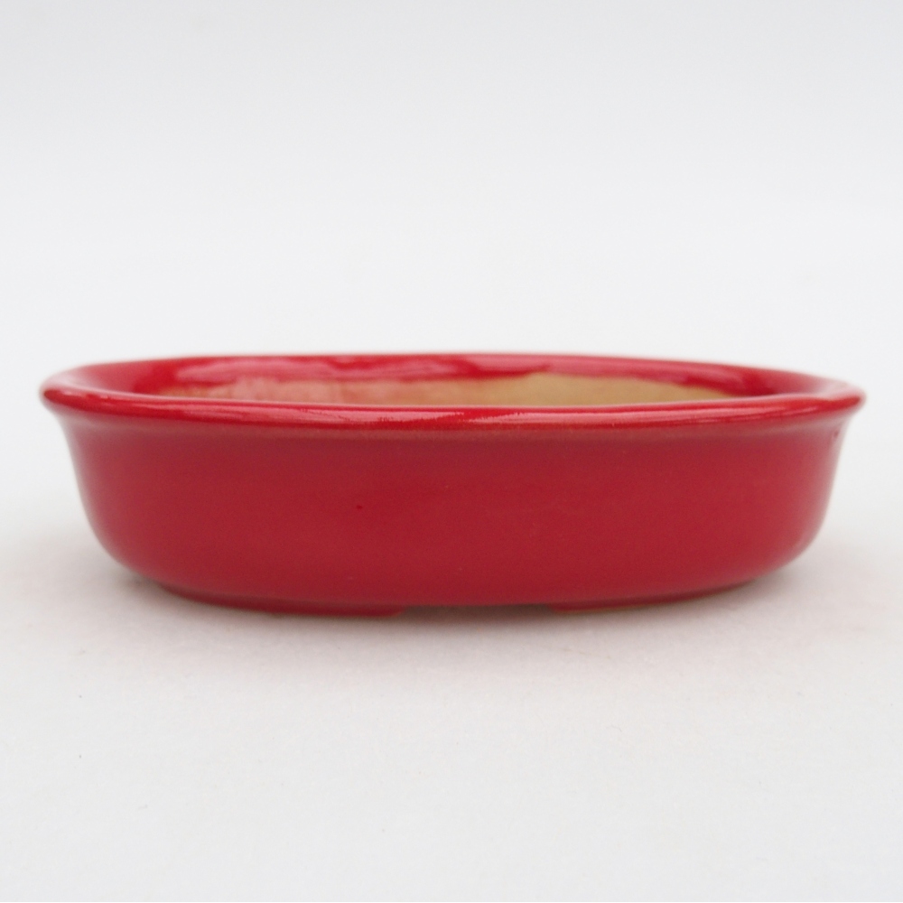 Cuenco bonsái de cerámica 12 x 8,5 x 3 cm, color rojo