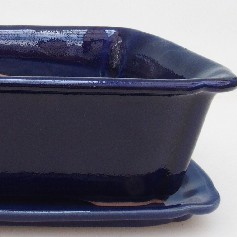 Bonsai cuenco + platillo H50 - azul