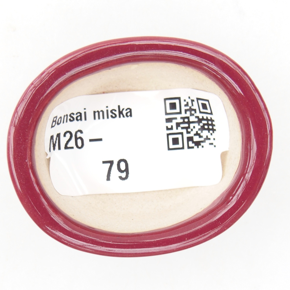 Cuenco mini bonsái 4,5 x 4 x 2 cm, burdeos