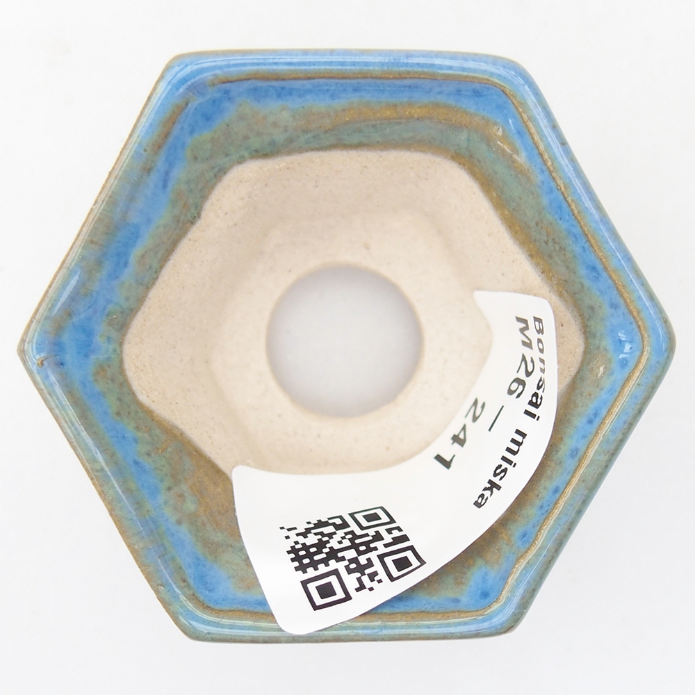 Mini cuenco bonsái 5,5 x 5 x 3 cm, color azul