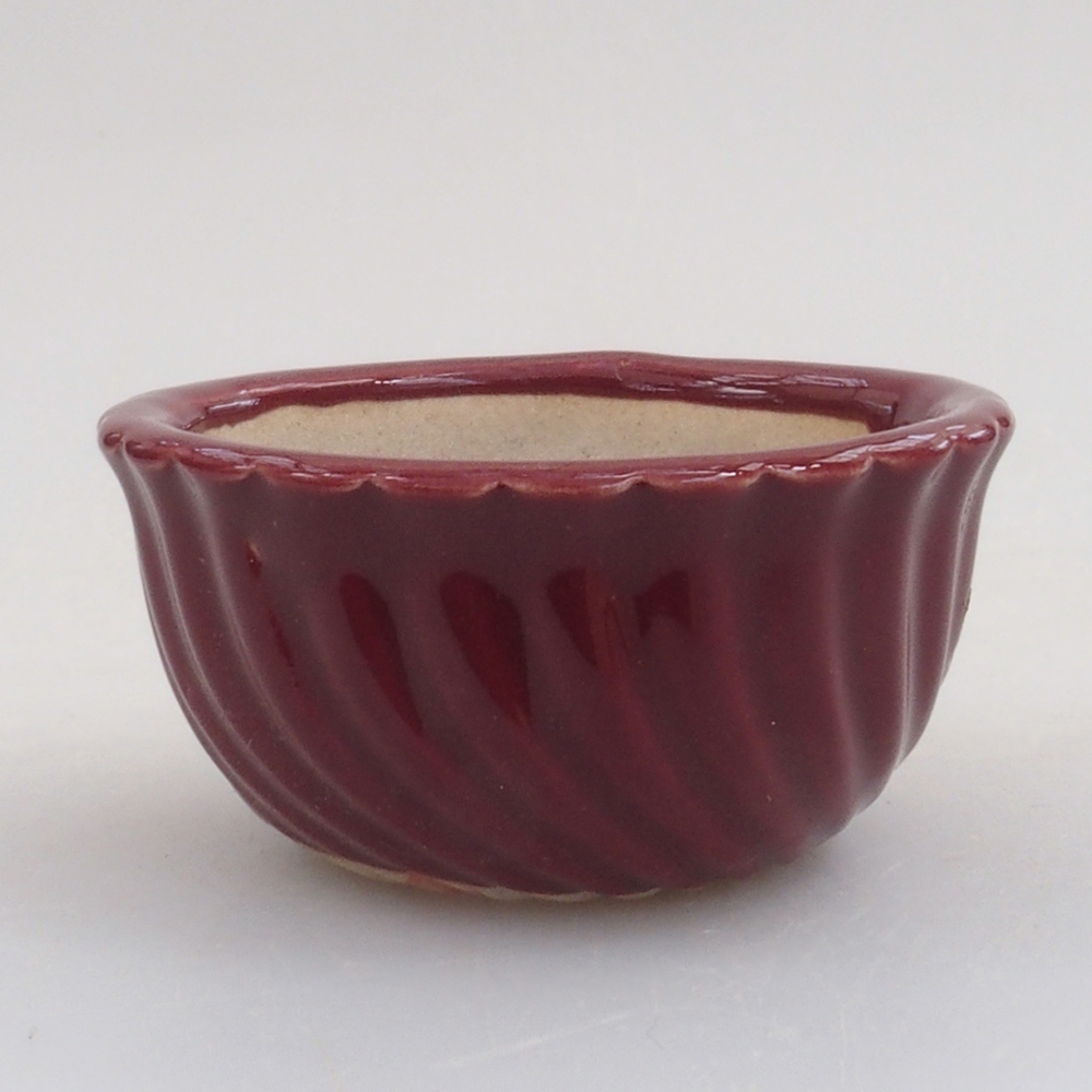 Mini cuenco bonsái 5 x 5 x 2,5 cm, color burdeos