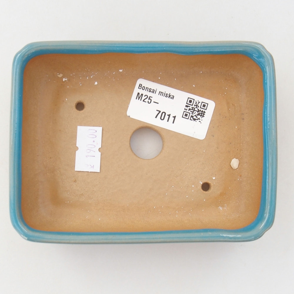 Cuenco bonsái de cerámica 11,5 x 9 x 3,5 cm, color azul