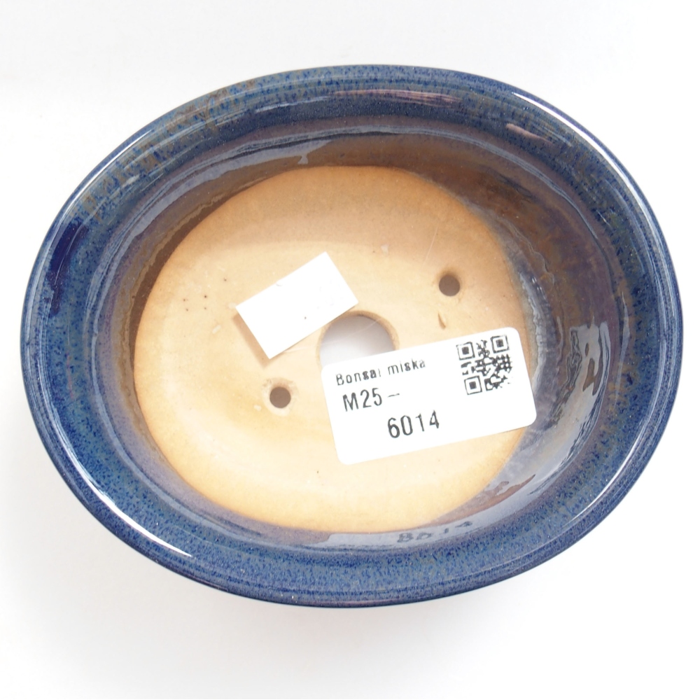 Cuenco bonsái de cerámica 22 x 17 x 5 cm, verde