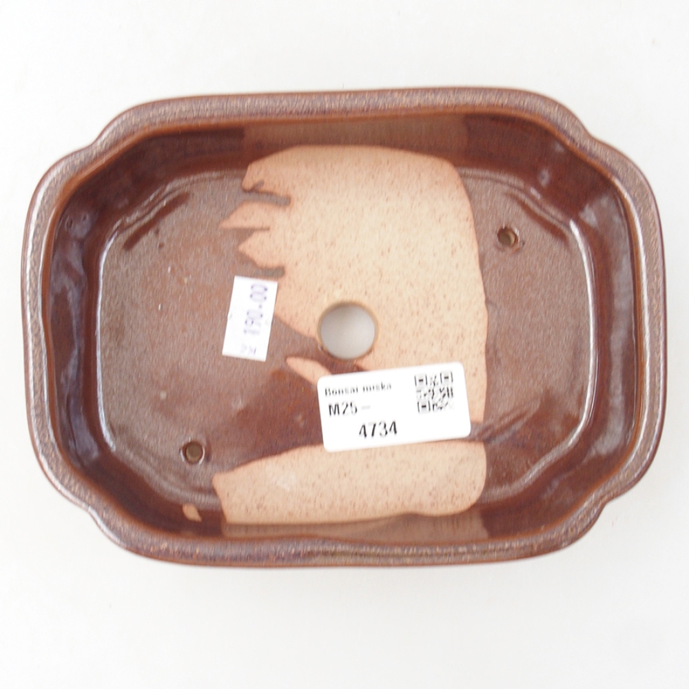 Cuenco bonsái de cerámica 15 x 11,5 x 4,5 cm, marrón