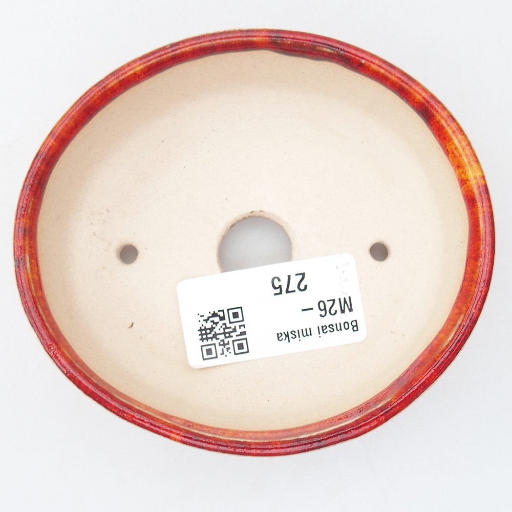 Mini cuenco bonsái 9,5 x 8,5 x 3 cm, naranja