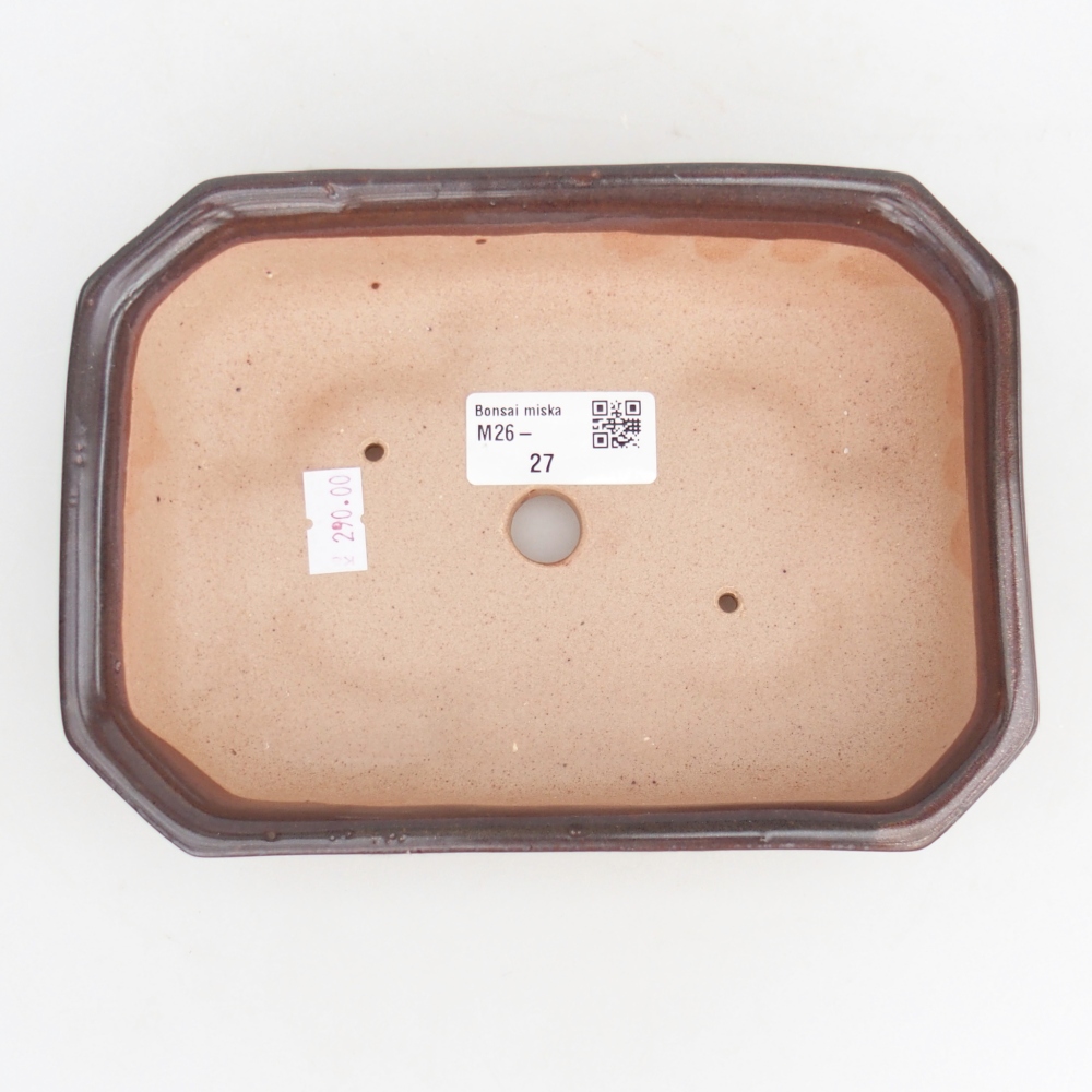 Cuenco bonsái de cerámica 18,5 x 13,5 x 4,5 cm, marrón