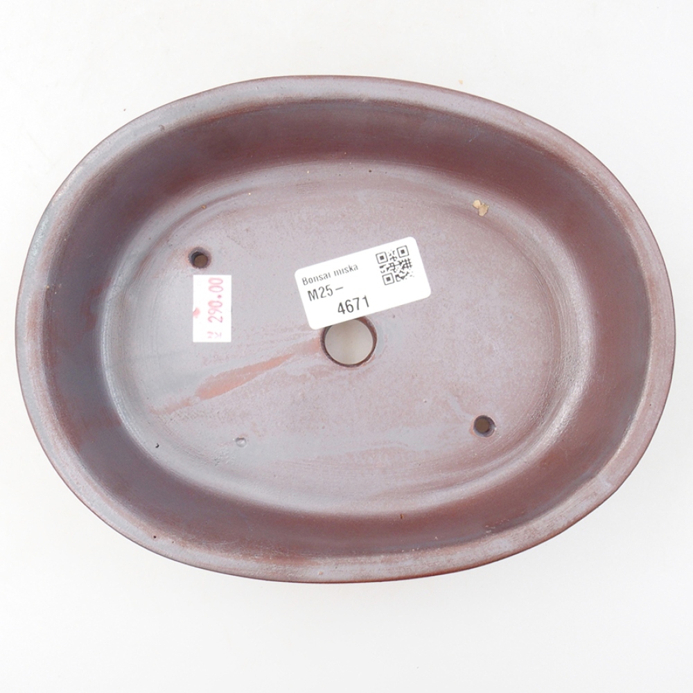 Cuenco bonsái de cerámica 18,5 x 14,5 x 5 cm, color metálico