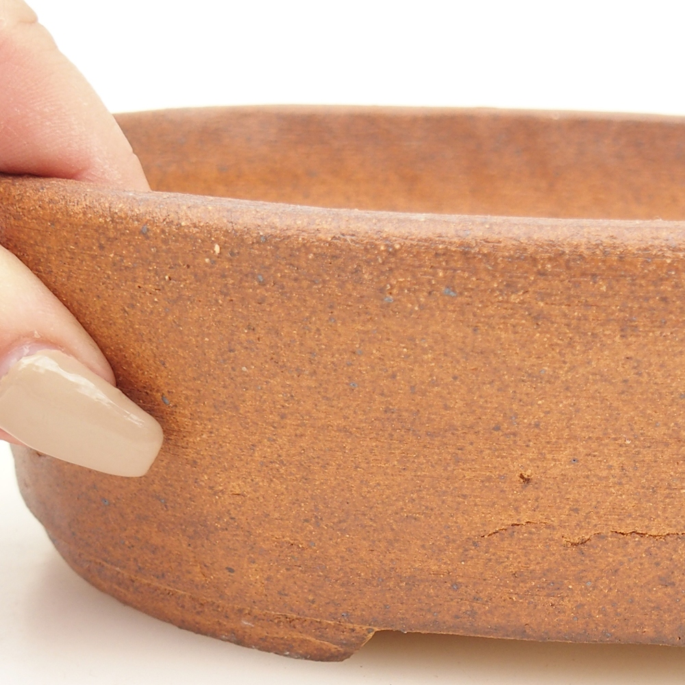 Cuenco bonsái 20 x 16 x 6 cm , color marrón