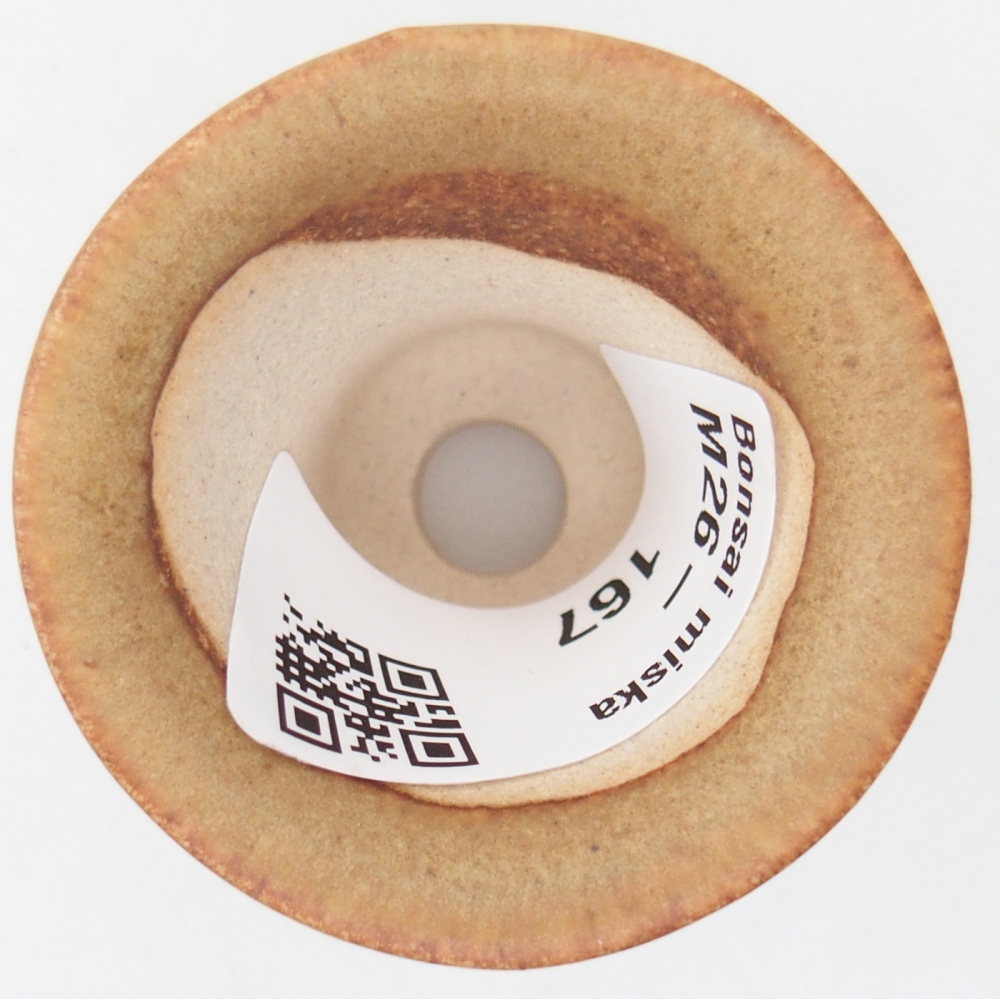 Cuenco mini bonsái 4,5 x 4,5 x 4 cm, marrón