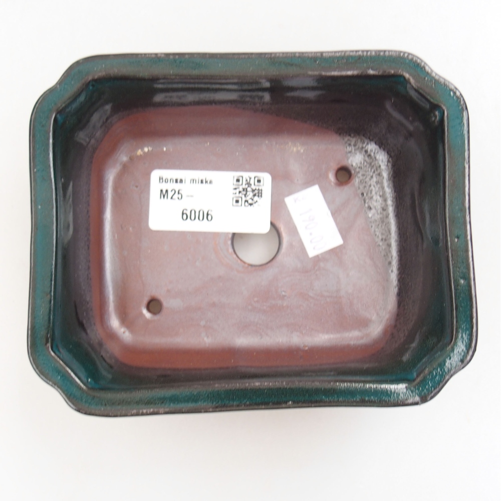 Cuenco bonsái de cerámica 22 x 17 x 5 cm, verde