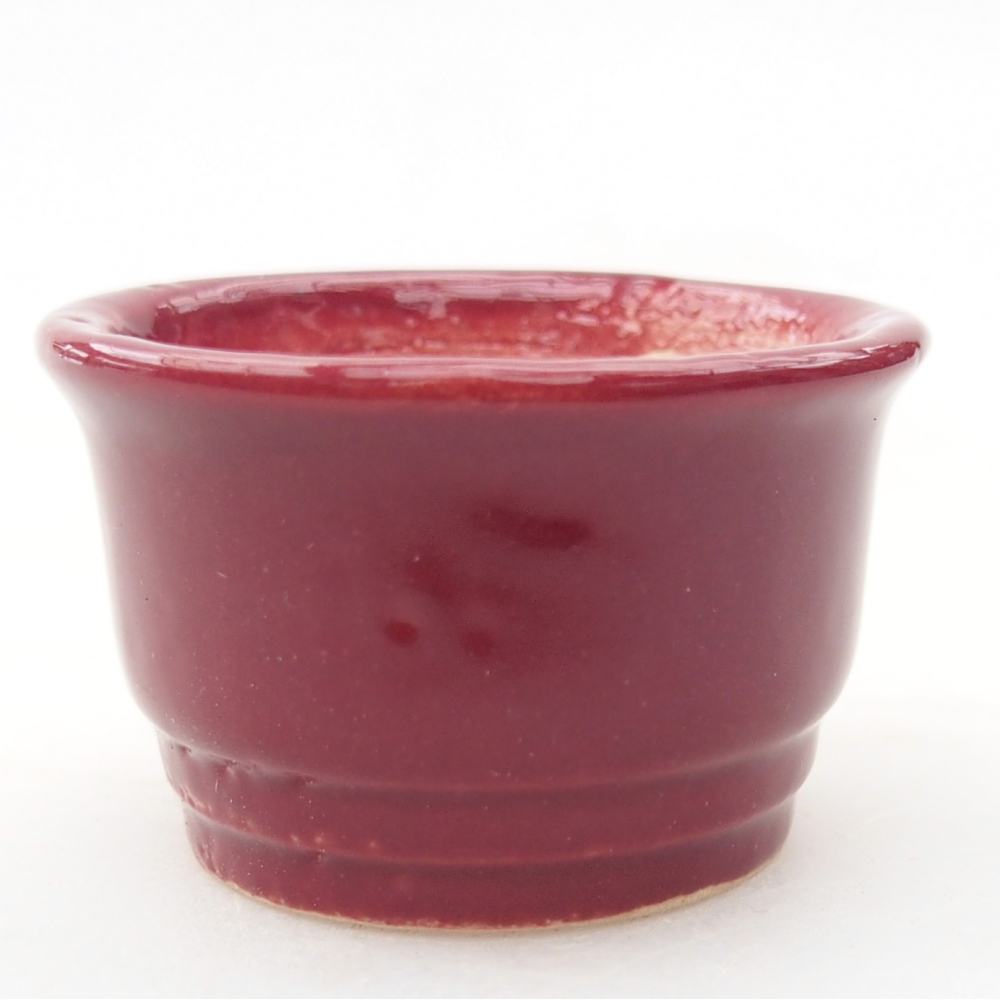 Cuenco mini bonsái 4 x 4 x 2 cm, burdeos