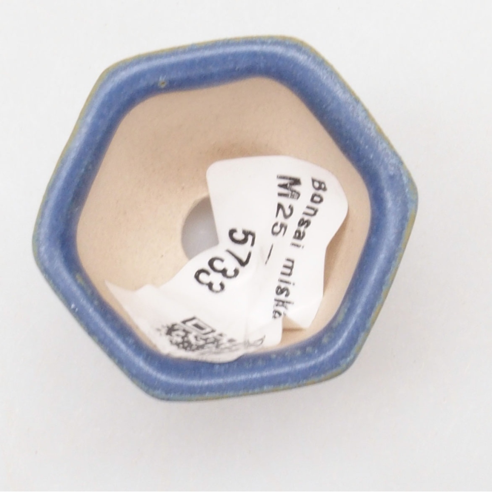 Cuenco mini bonsái 4 x 3,5 x 3 cm, color azul