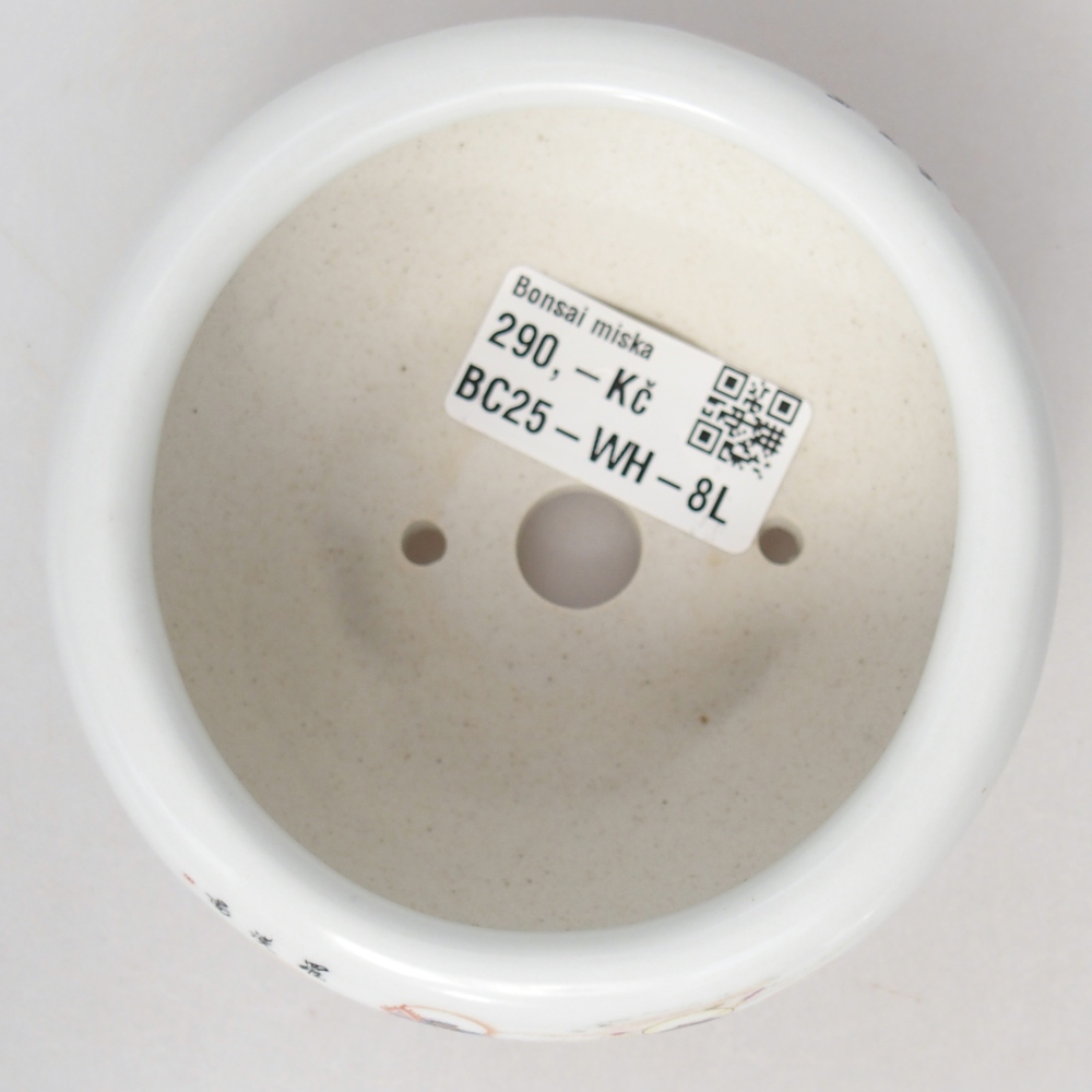 Cuenco bonsái de cerámica 10 x 10 x 5 cm, color blanco