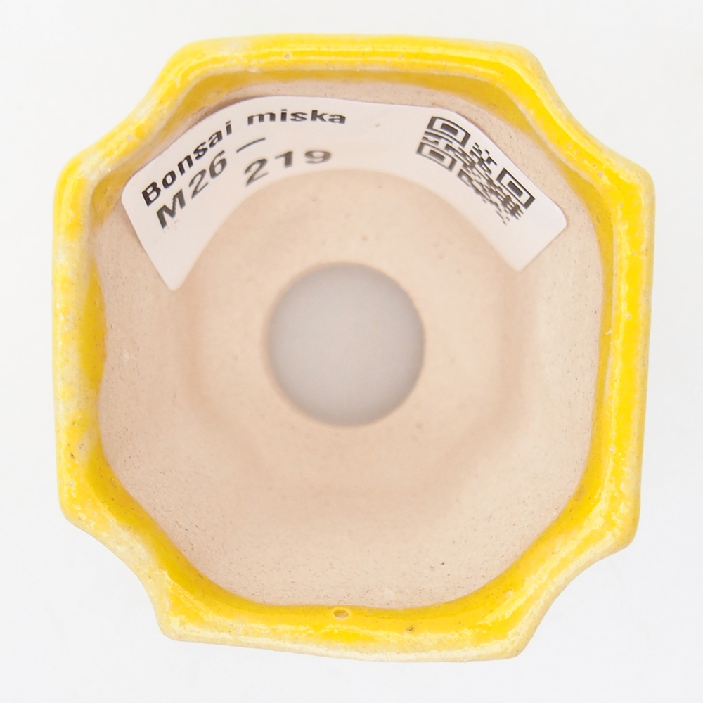Cuenco mini bonsái 4,5 x 4,5 x 4 cm, amarillo