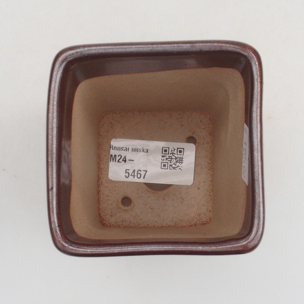 Cuenco bonsái de cerámica 8 x 8 x 10 cm, marrón