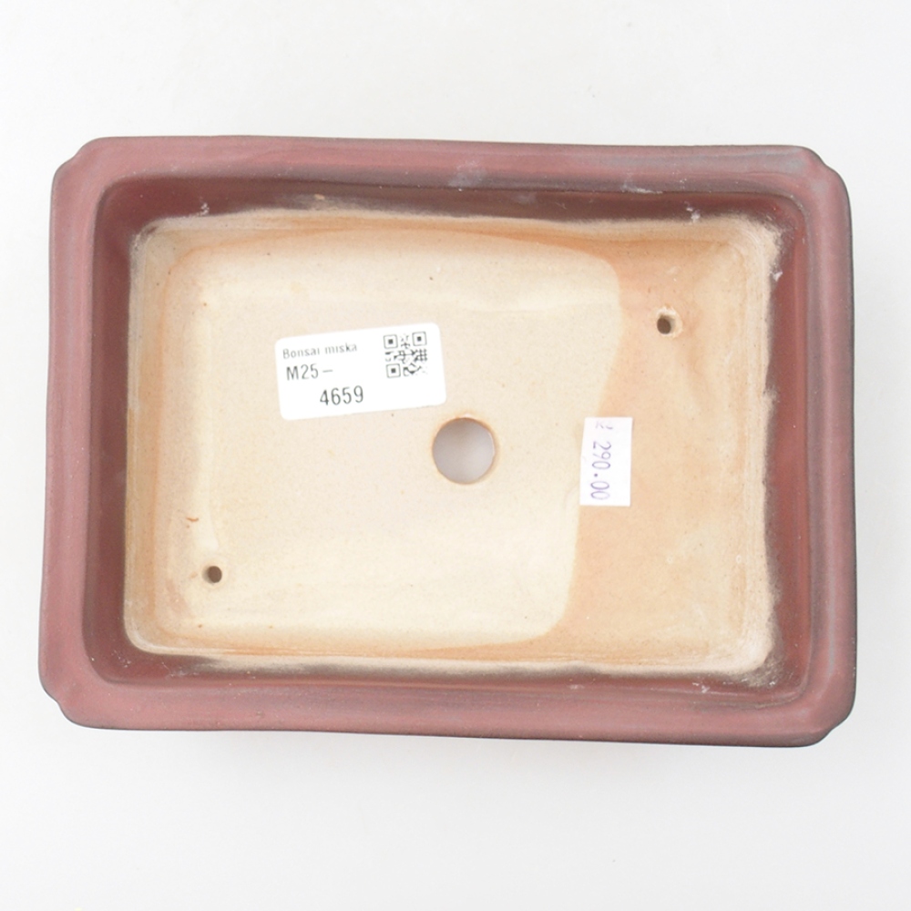 Cuenco bonsái de cerámica 17,5 x 13 x 4 cm, rosa