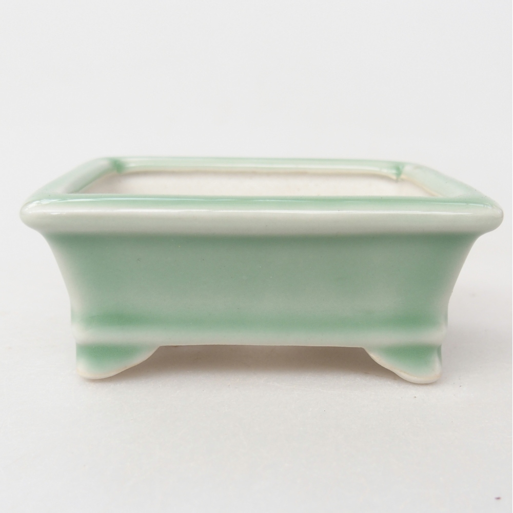Cuenco mini bonsái 8 x 6,5 x 3 cm, verde
