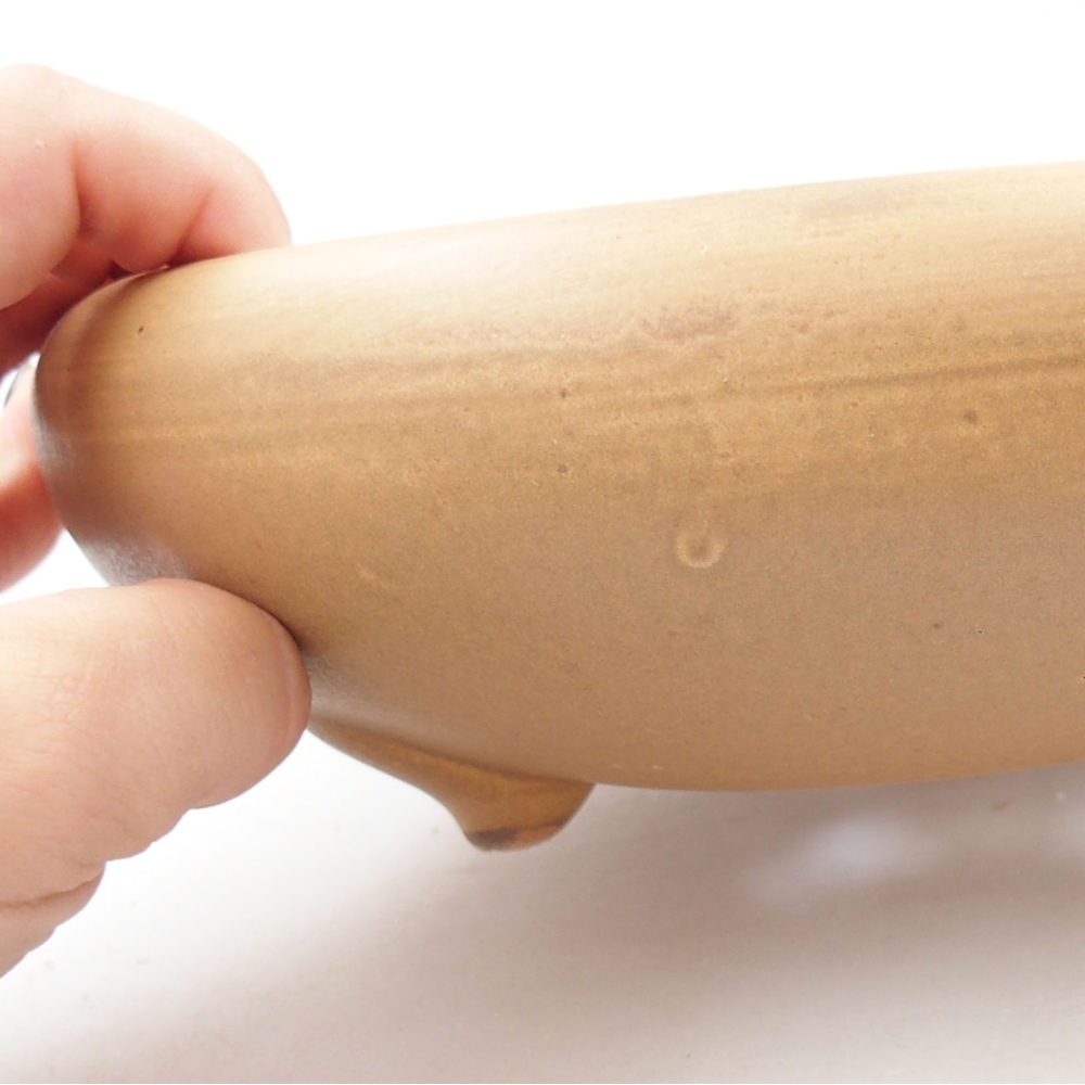 Cuenco bonsái de cerámica 21 x 21 x 7,5 cm, color beige