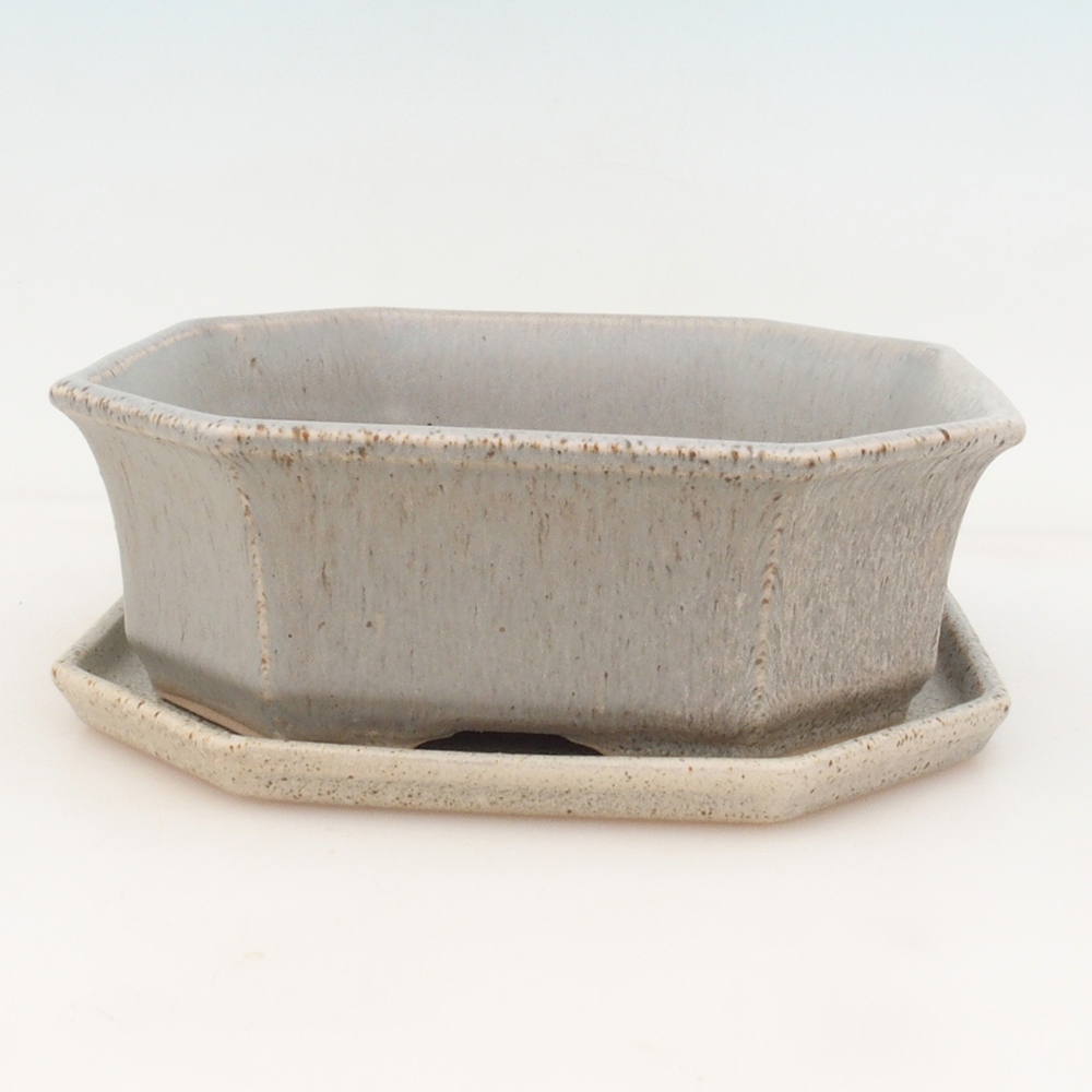 Bonsai cuenco + platillo H14 - beige