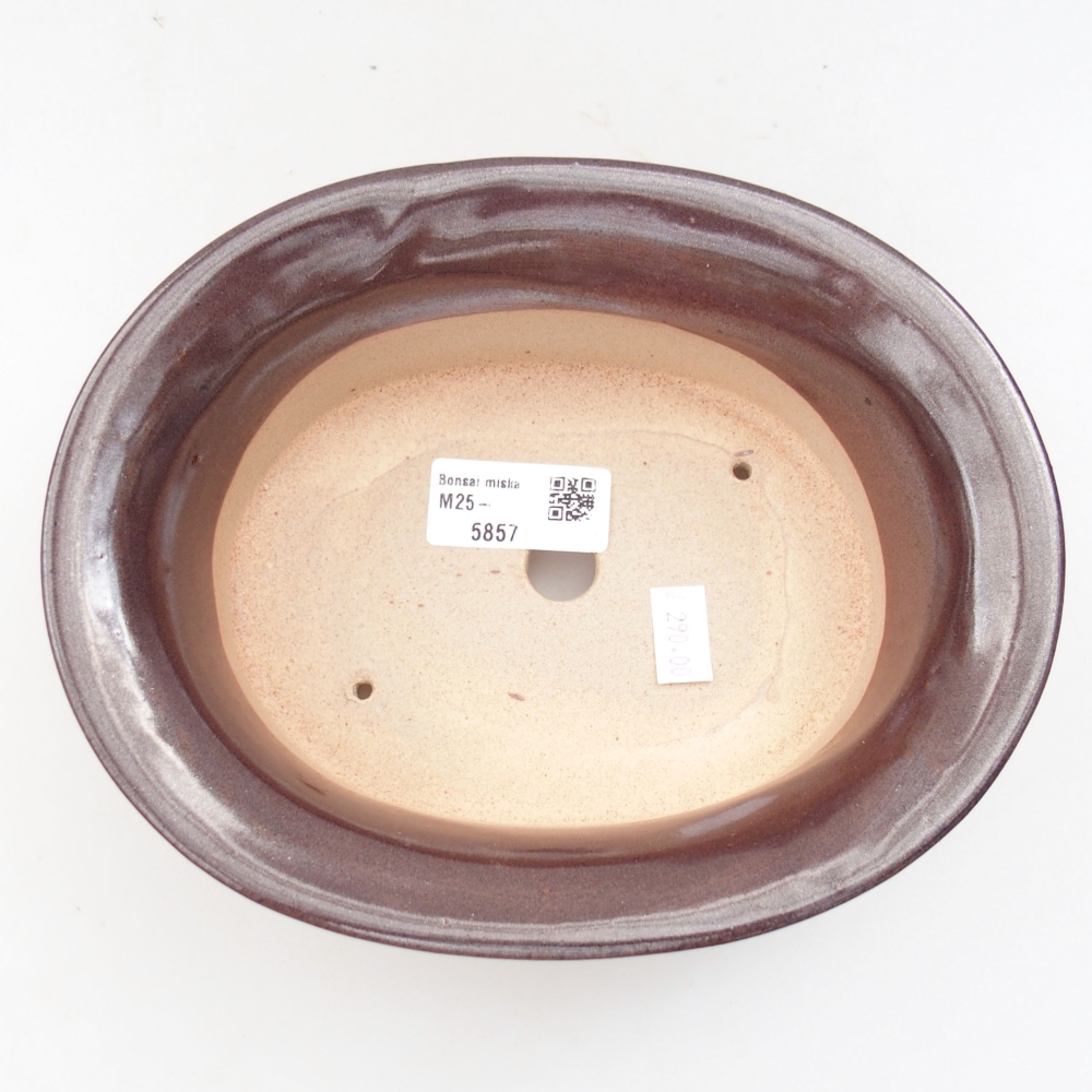 Cuenco bonsái de cerámica 22 x 17 x 5 cm, verde