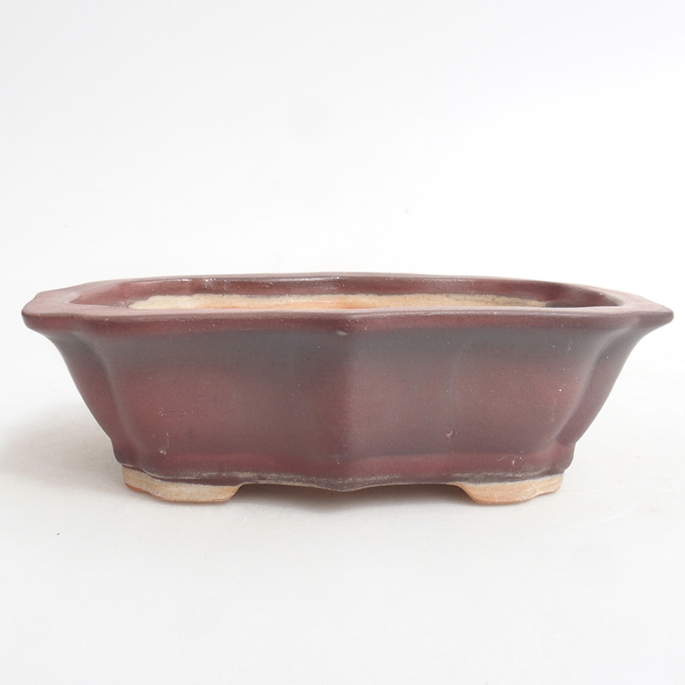 Cuenco bonsái de cerámica 15,5 x 11,5 x 4,5 cm, rosa