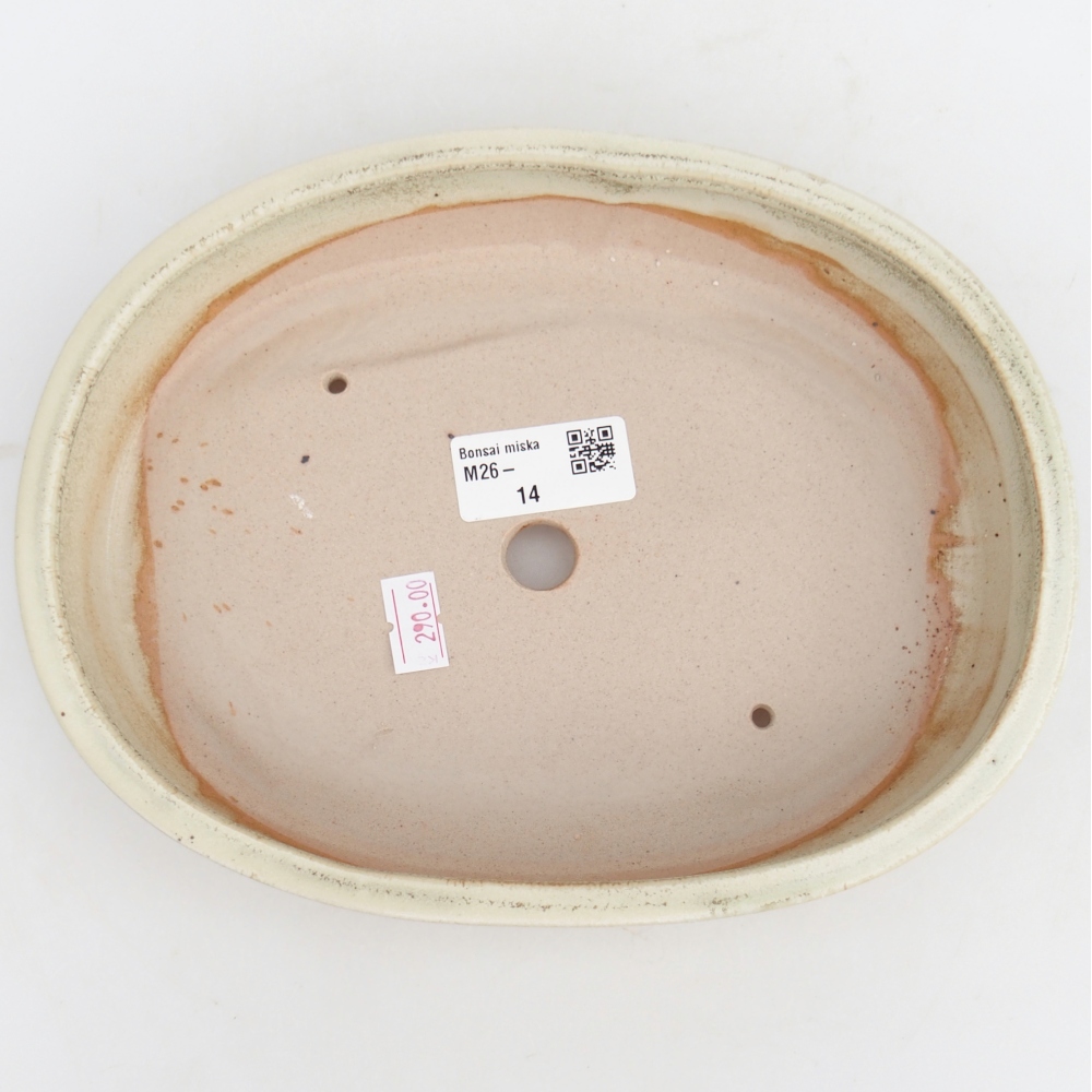 Cuenco bonsái de cerámica 22,5 x 17 x 4,5 cm, verde