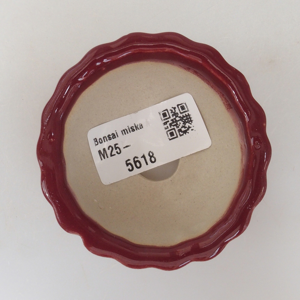Cuenco mini bonsái 6,5 x 6,5 x 3,5 cm, burdeos