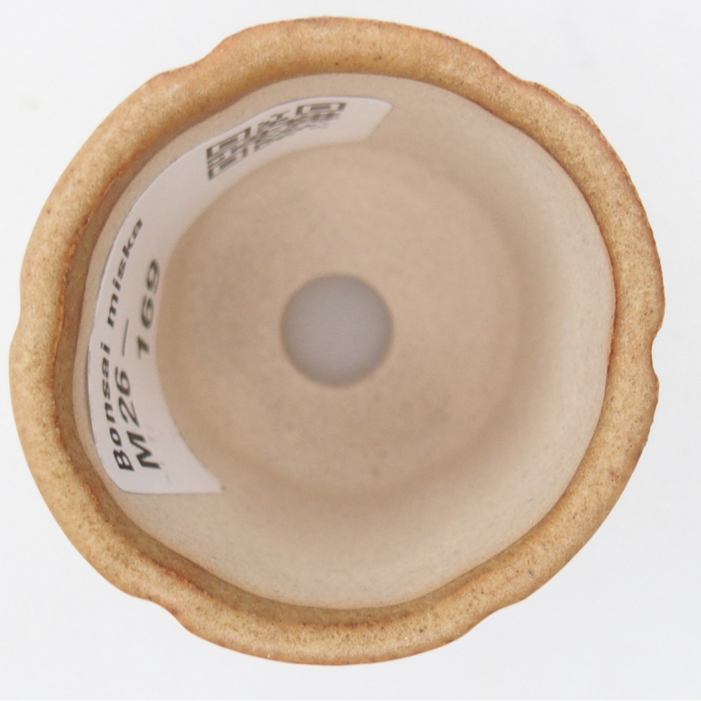 Cuenco mini bonsái 4 x 4 x 4,5 cm, marrón