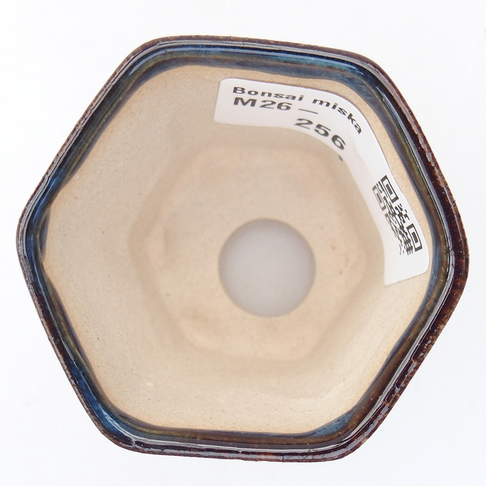 Mini cuenco bonsái 5,5 x 5 x 5 cm, color azul