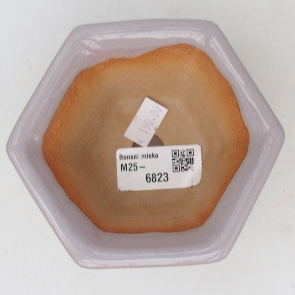 Cuenco bonsái de cerámica 10,5 x 9,5 x 5,5 cm, rosa