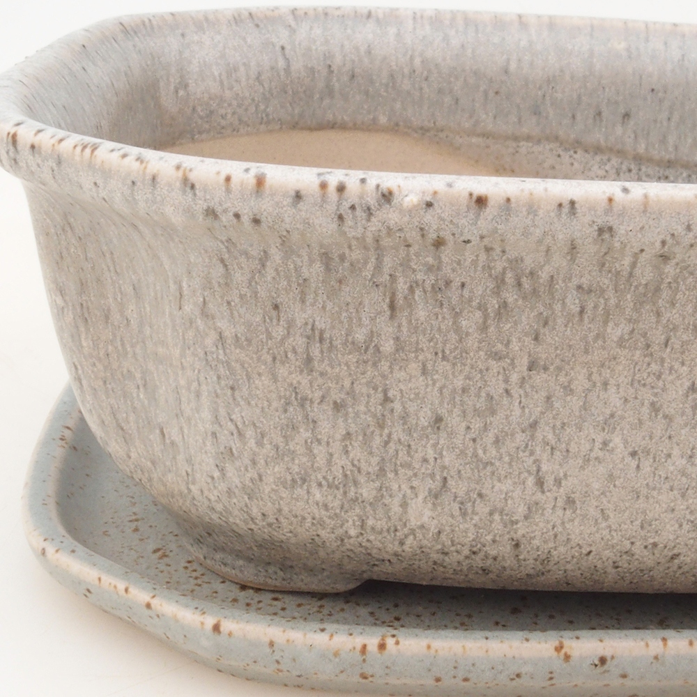 Bonsai cuenco + platillo H31 - beige