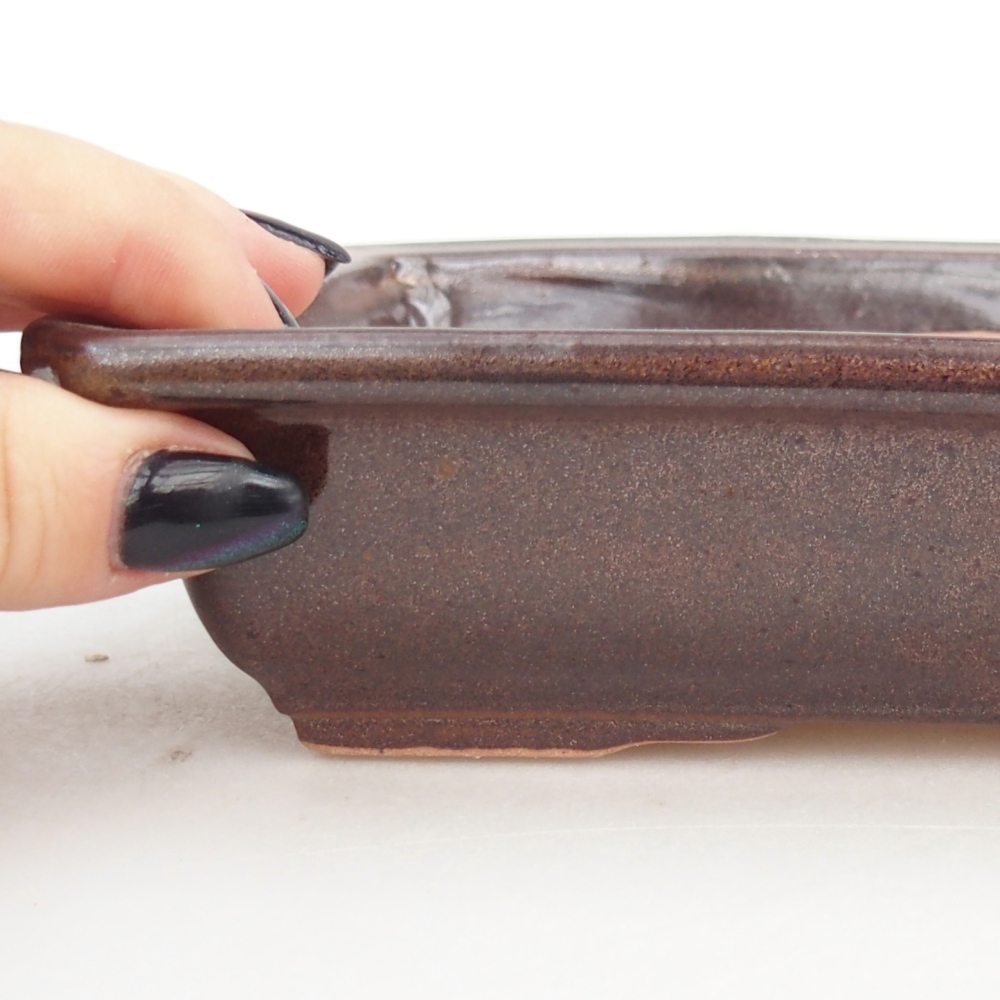 Cuenco bonsái de cerámica 18 x 13,5 x 4,5 cm, marrón