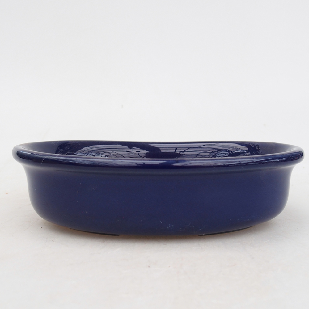 Cuenco bonsái de cerámica 15 x 11 x 3,5 cm, color azul