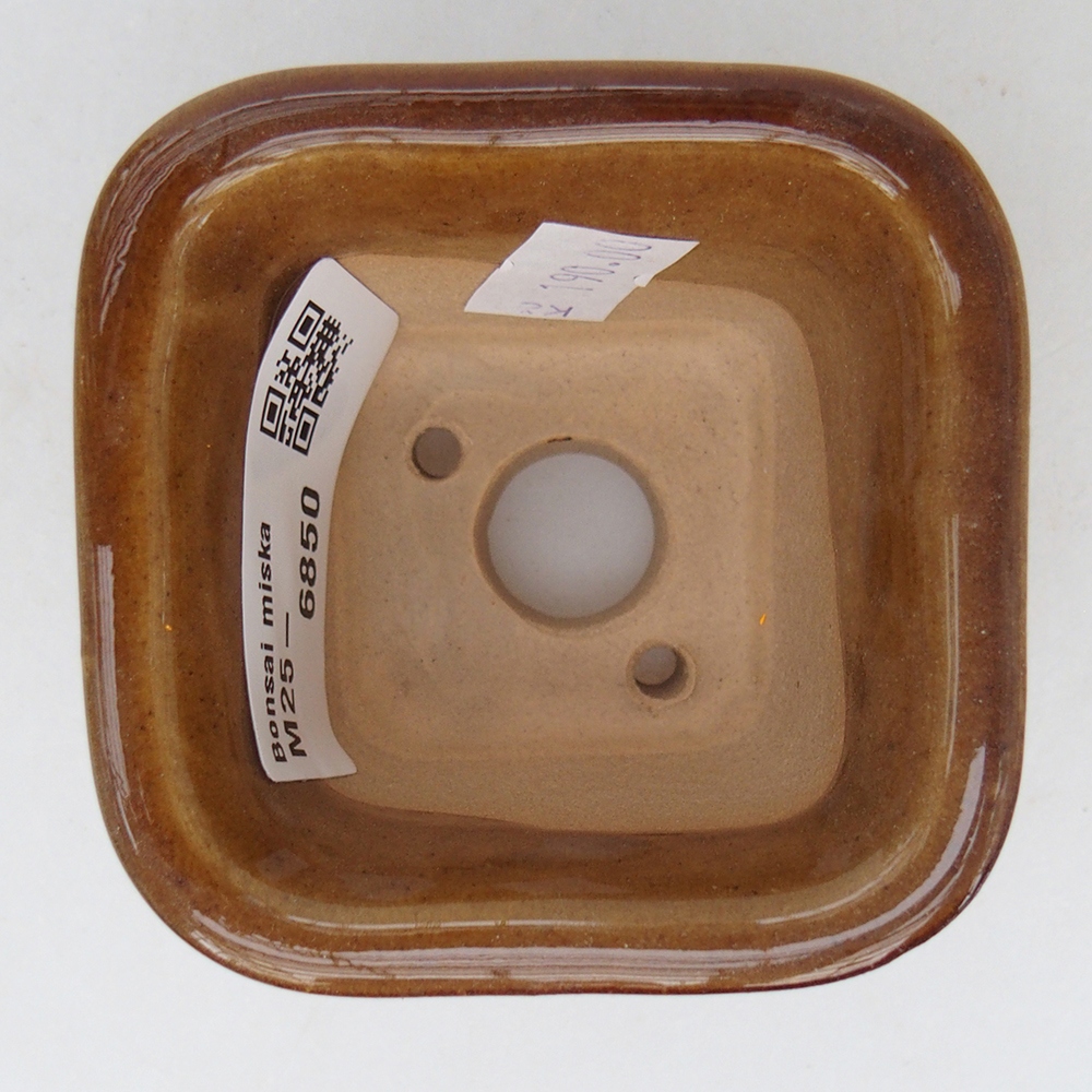 Cuenco bonsái de cerámica 6,5 x 6,5 x 4,5 cm, marrón