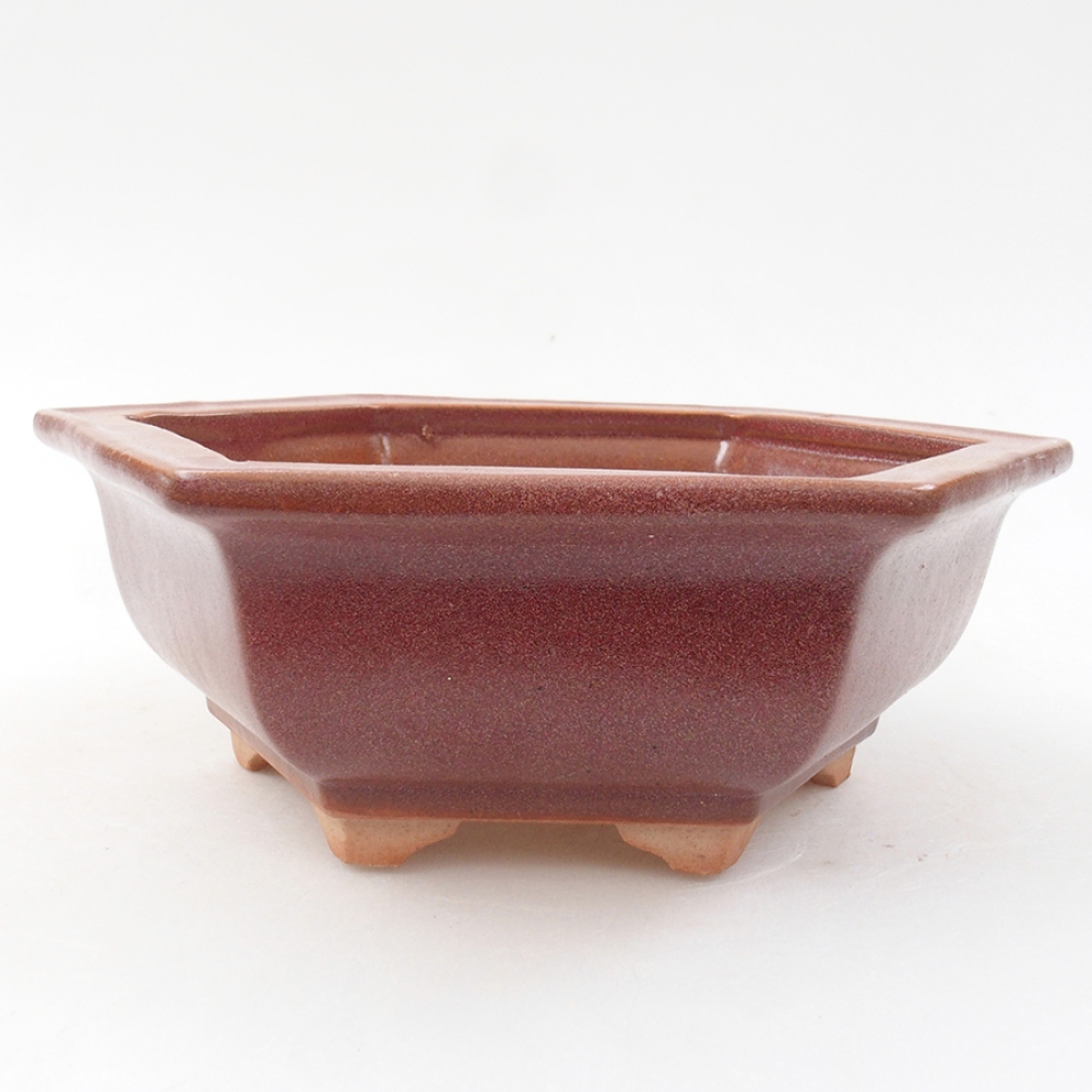 Cuenco bonsái de cerámica 14 x 11 x 4 cm, burdeos