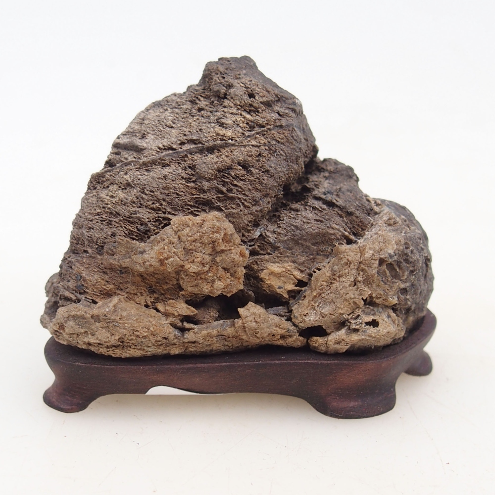 Suiseki - Piedra con DAI (base de madera)