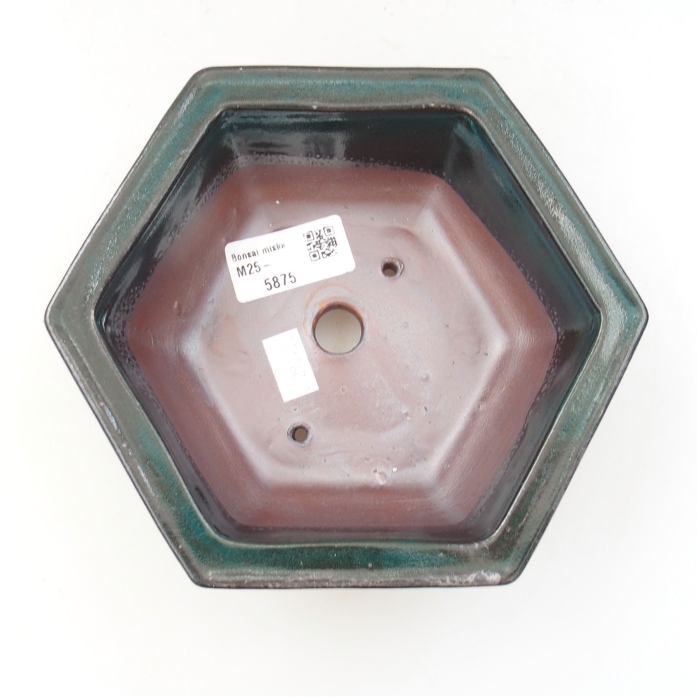 Cuenco bonsái de cerámica 22 x 17 x 5 cm, verde