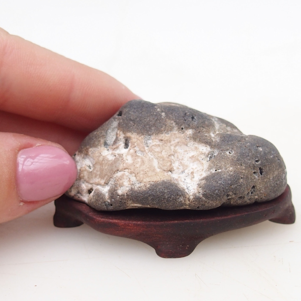 Suiseki - Piedra con DAI (base de madera)