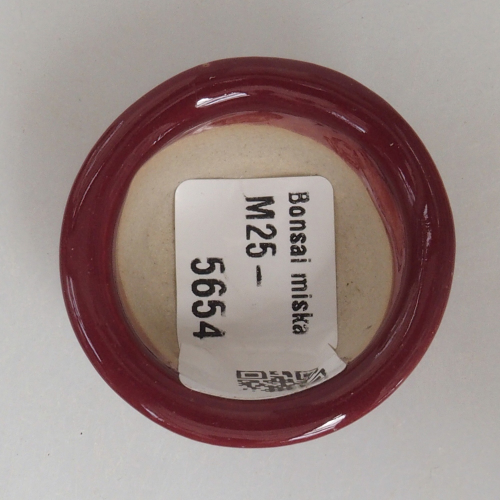 Cuenco mini bonsái 4 x 4 x 2 cm, burdeos