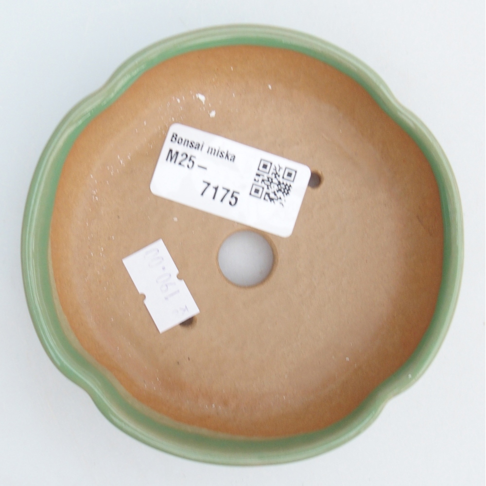 Cuenco bonsái de cerámica 11 x 11 x 3 cm, verde
