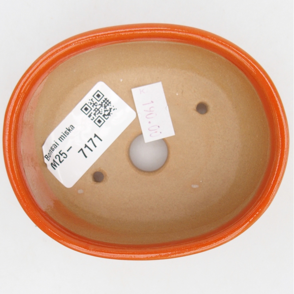 Cuenco bonsái de cerámica 9,5 x 7,5 x 3,5 cm, naranja