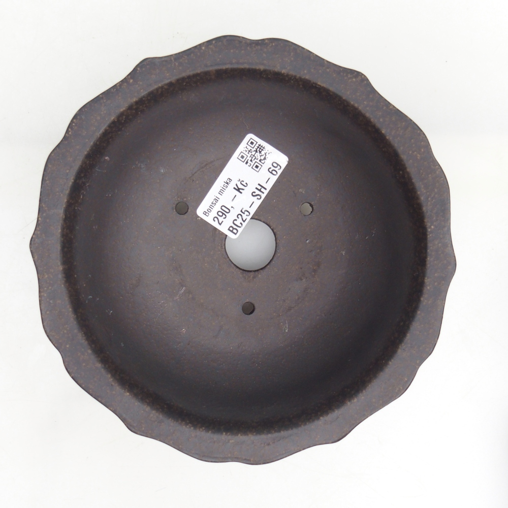 Cuenco bonsái de cerámica 15 x 15 x 6,5 cm, ocre pardusco