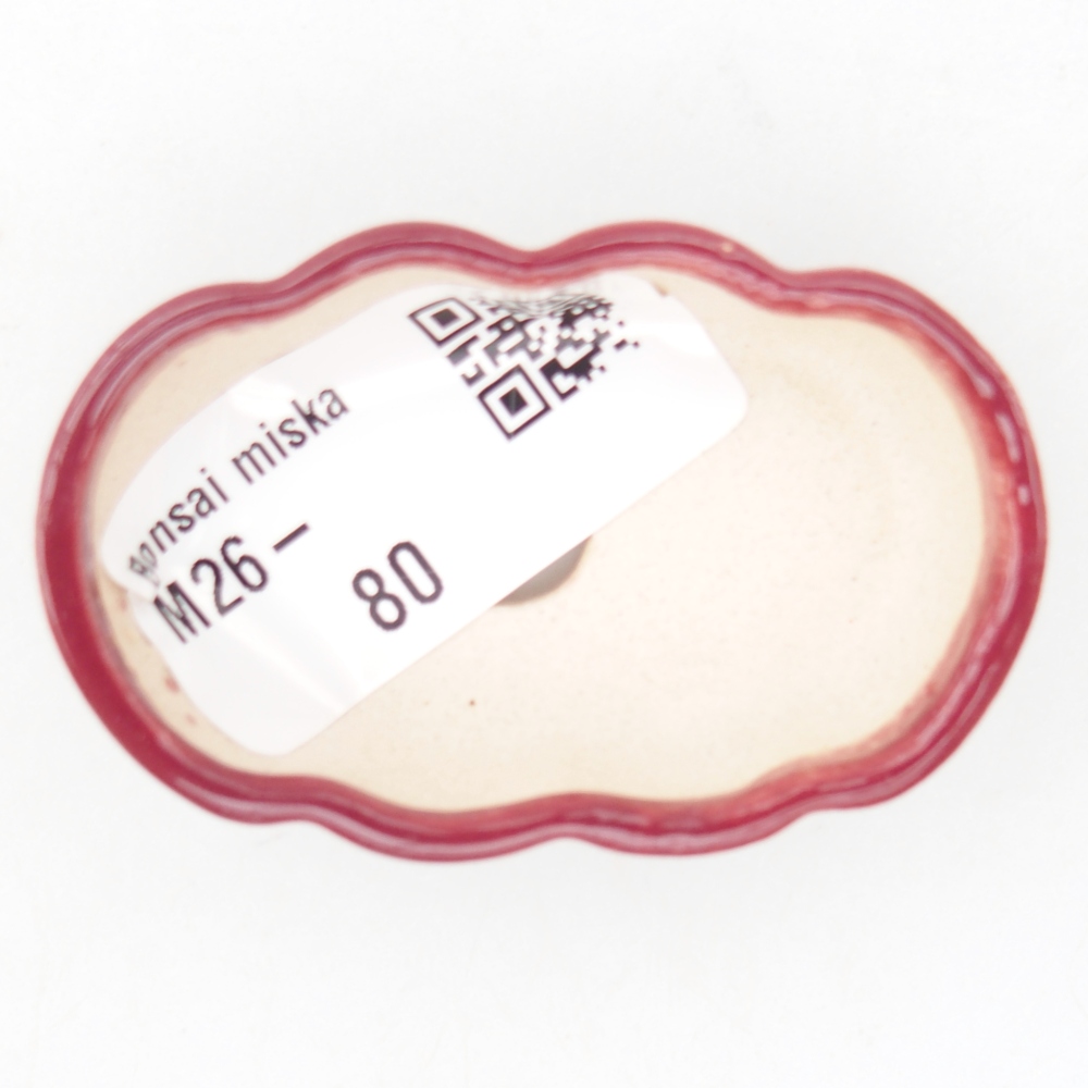 Cuenco mini bonsái 5,5 x 3,5 x 1,5 cm, burdeos