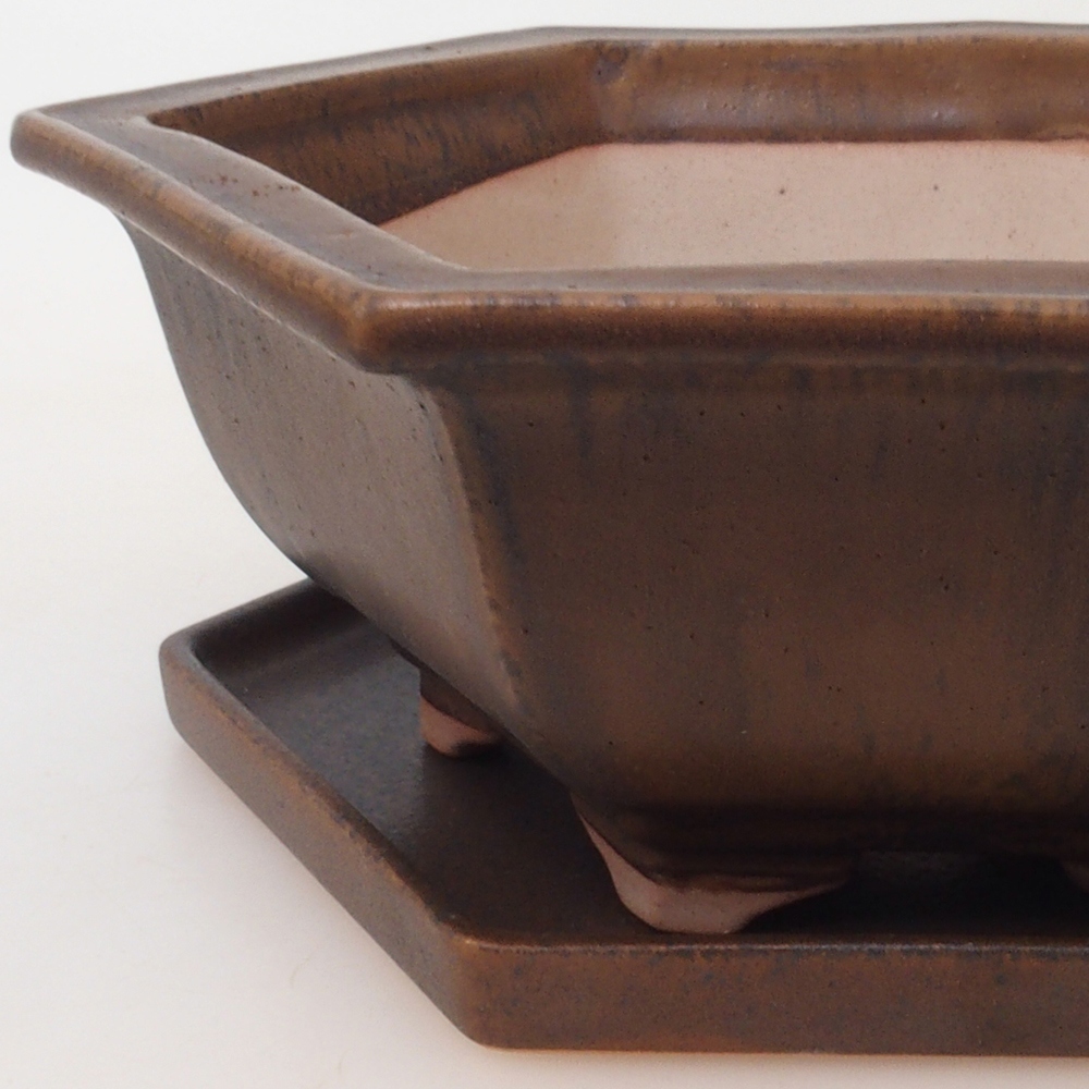 Cuenco bonsái + platillo H53 - 19 x 21,5 x 7 cm - marrón