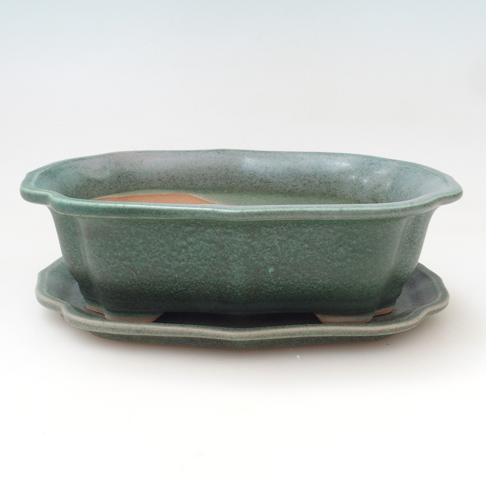 Cuenco bonsai + platillo H51 - 18x14x5 cm - verde