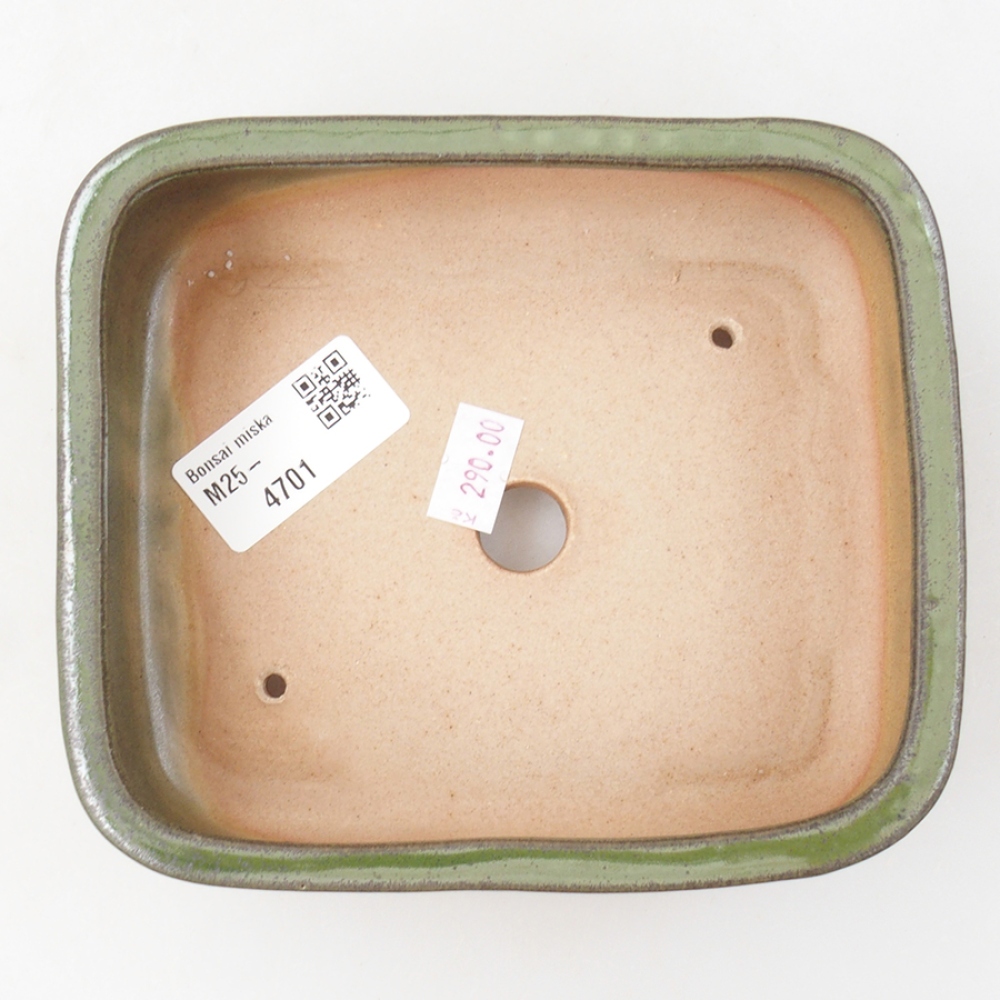 Cuenco bonsái de cerámica 14 x 12,5 x 4,5 cm, verde