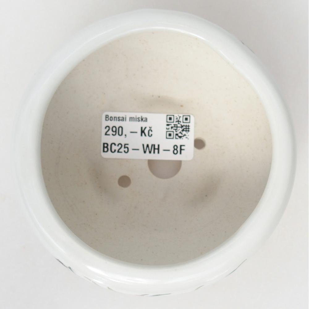 Cuenco bonsái de cerámica 10 x 10 x 5 cm, color blanco