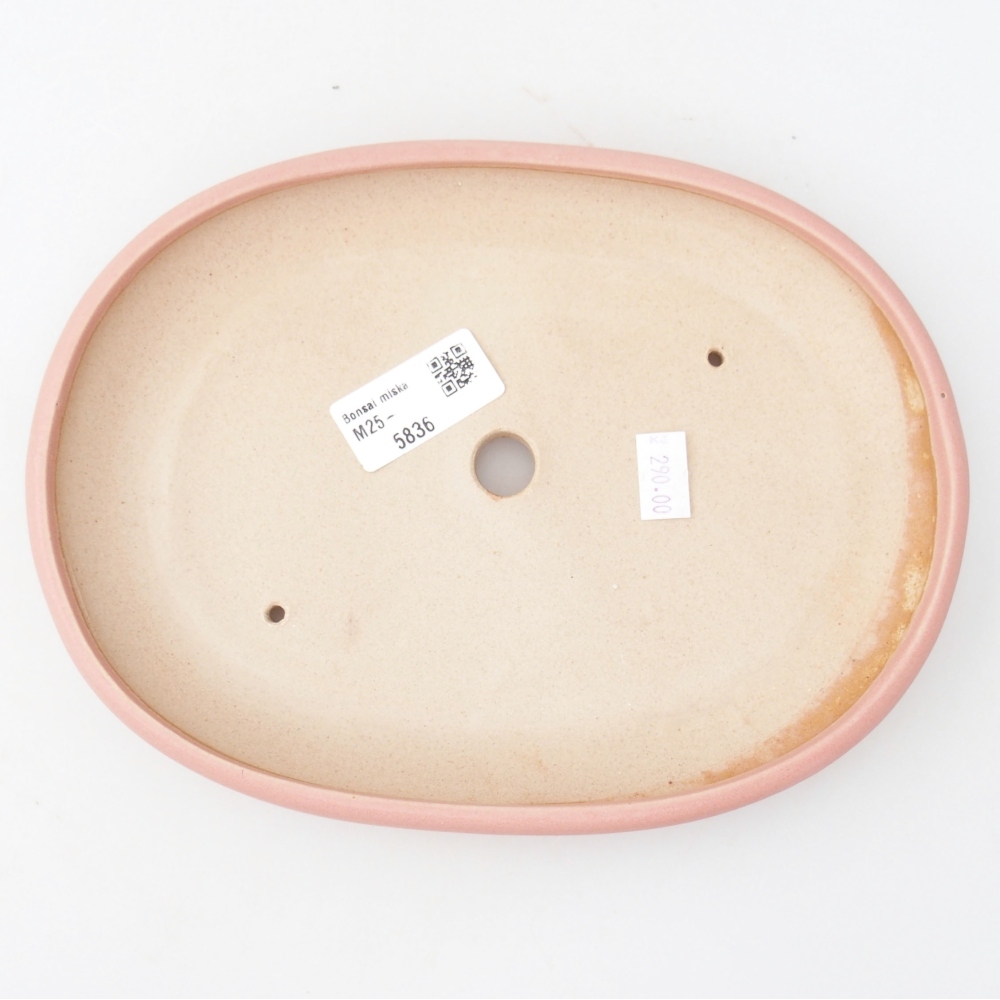 Cuenco bonsái de cerámica 22 x 17 x 5 cm, verde